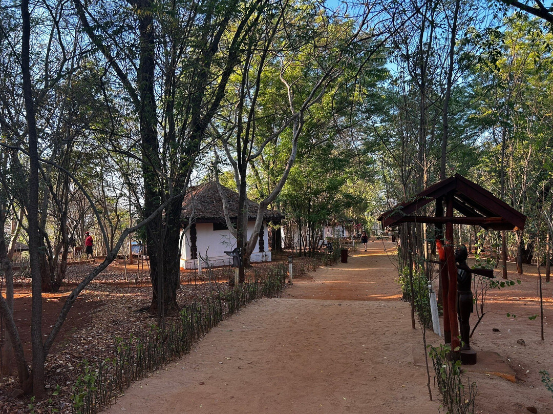 L'Orchidee de Bemaraha主图