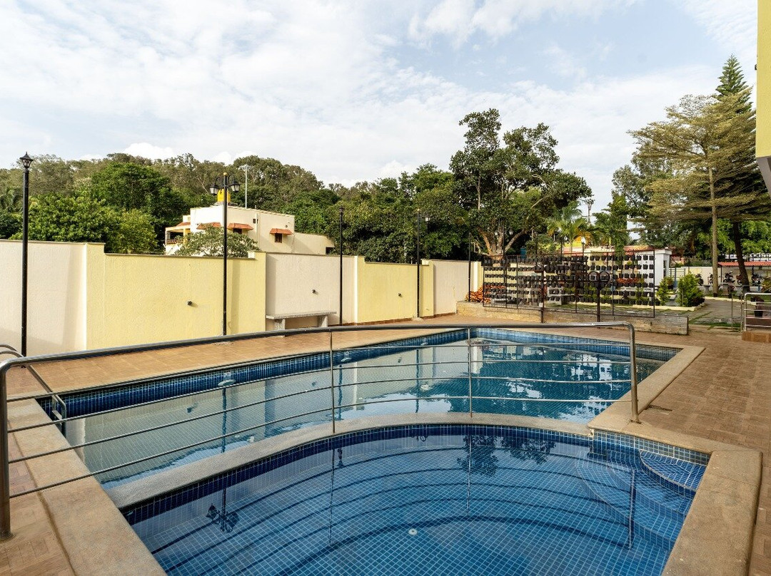 Treebo Premium Emerald Dove主图