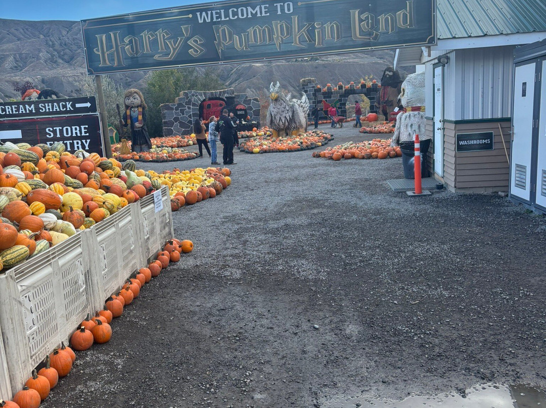Desert Hills Ranch-Ashcroft必去景点