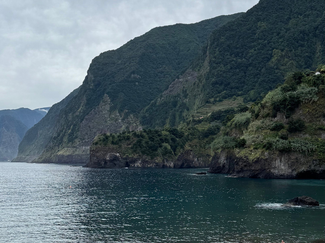 Safari Madeira Island-沙尔必去景点