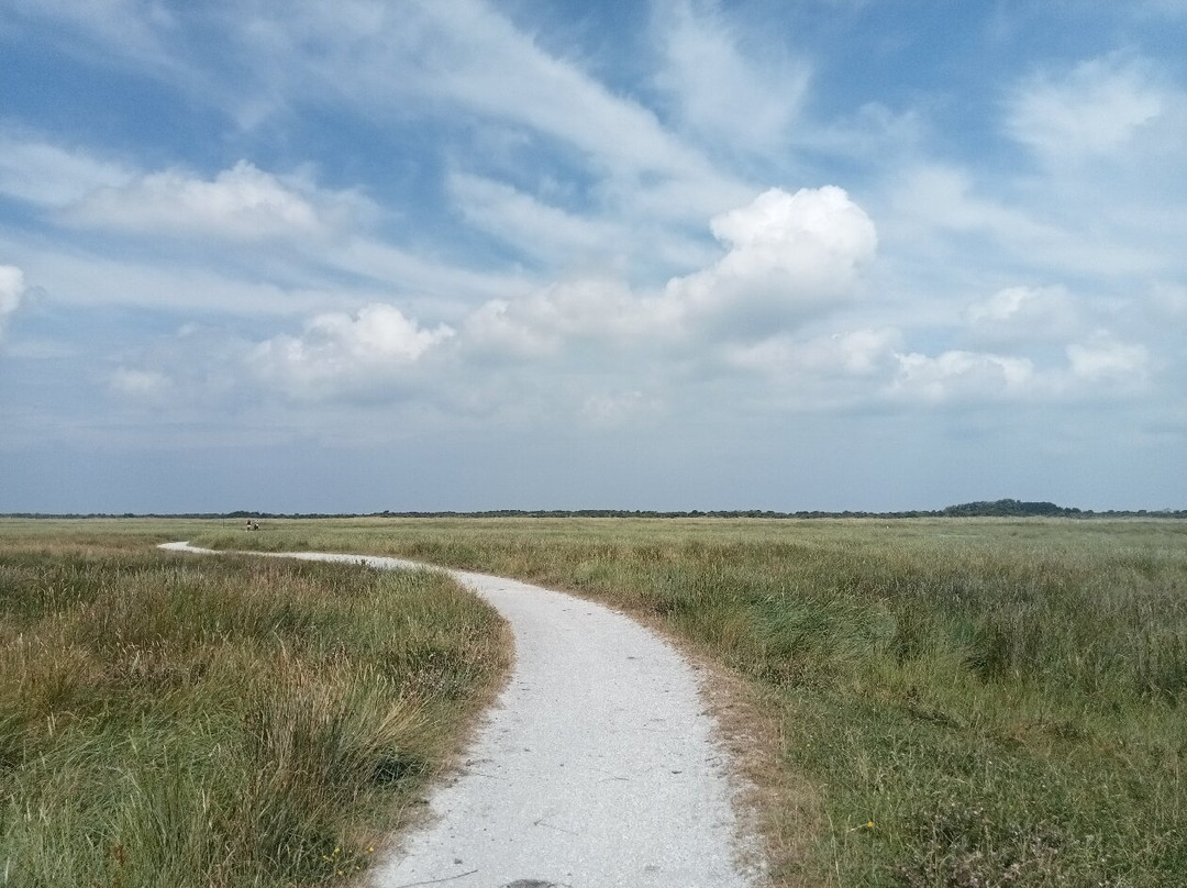 Kwelderpad-Schiermonnikoog必去景点