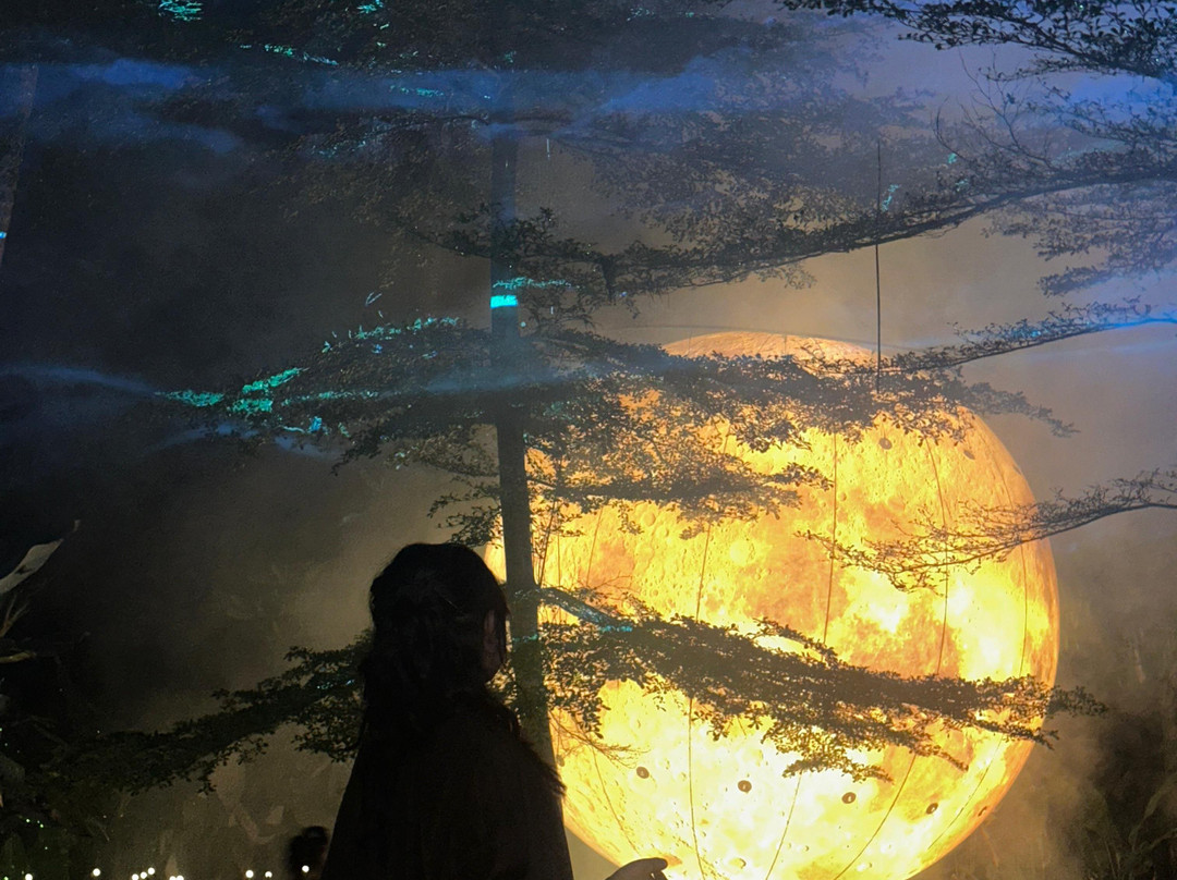 Hikaria: Bali's First Immersive Night Walk-Tegallalang必去景点