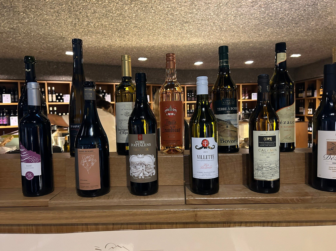 Lavaux Vinorama-Rivaz必去景点