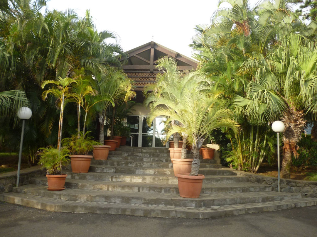 Le Lagon Bleu - Diners dansants