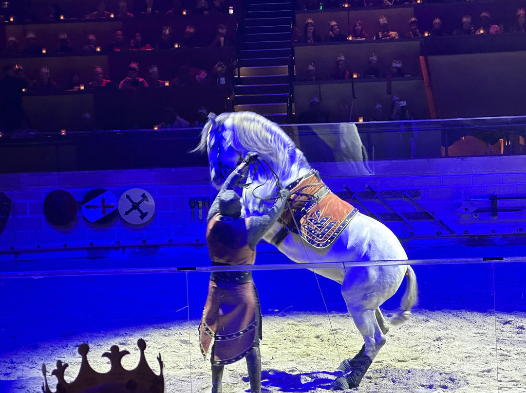 Medieval Times Dinner & Tournament-林德赫斯特必去景点
