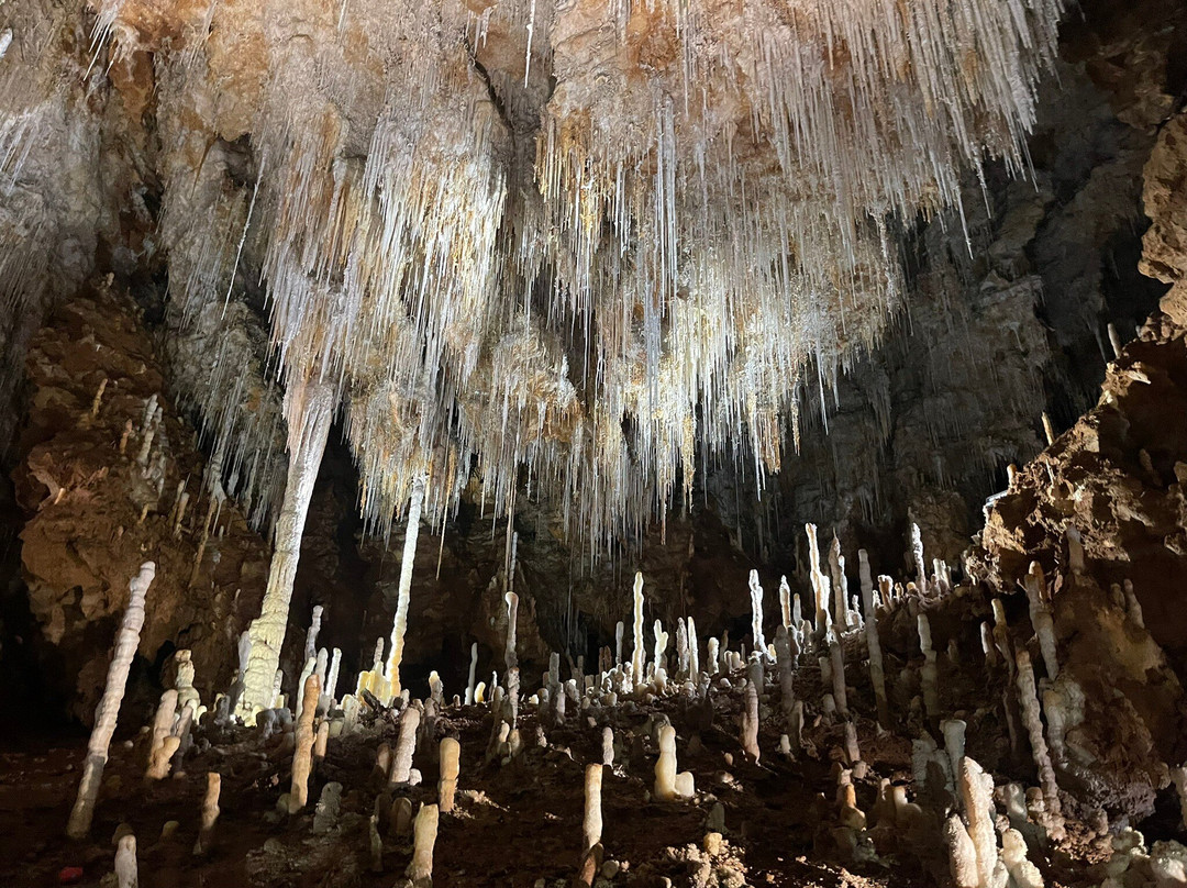 Grotte de Clamouse-Saint-Jean-de-Fos必去景点