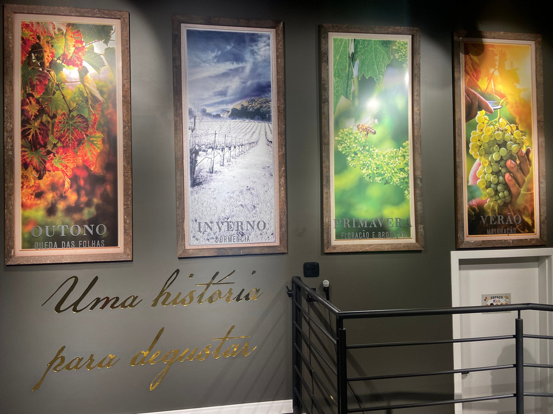 Cooperativa Vinicola Garibaldi-Garibaldi必去景点