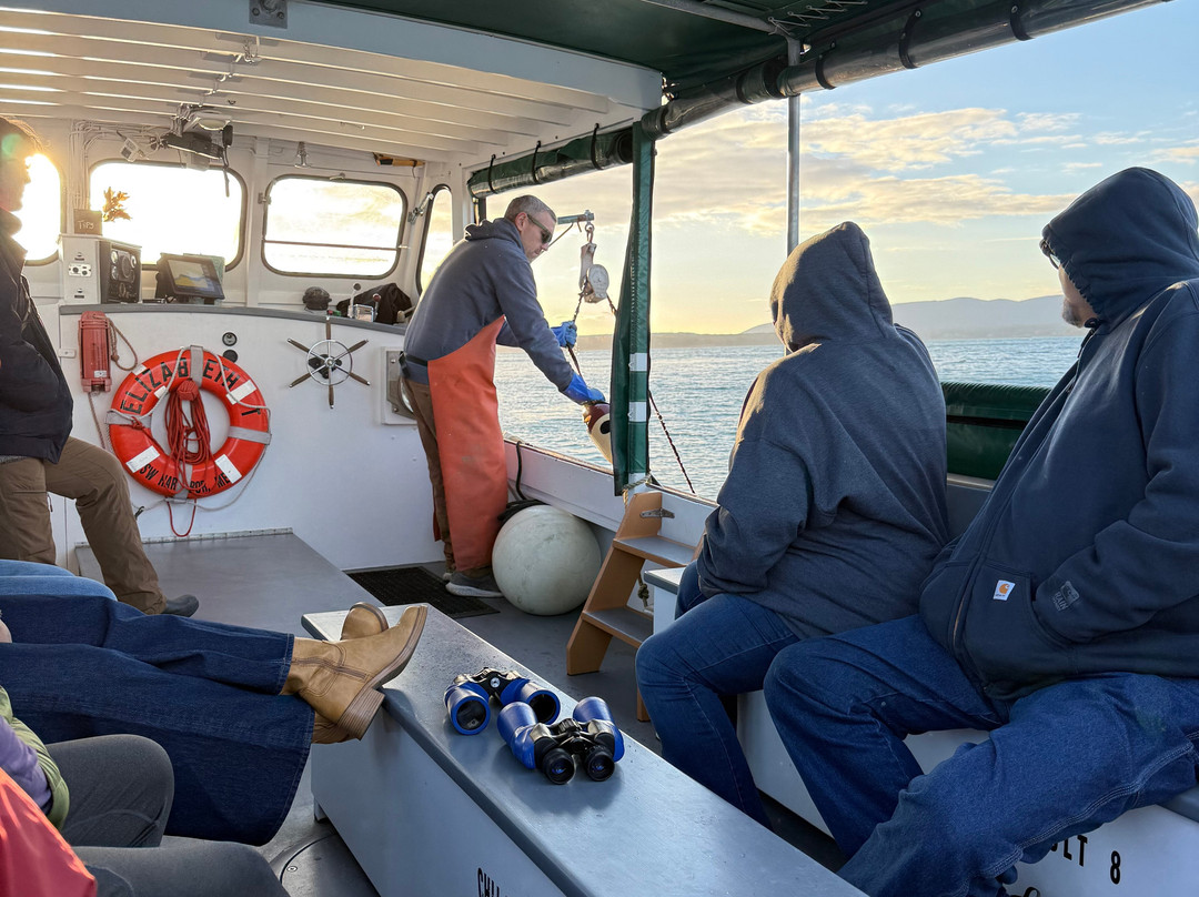 Sail Acadia-Southwest Harbor必去景点