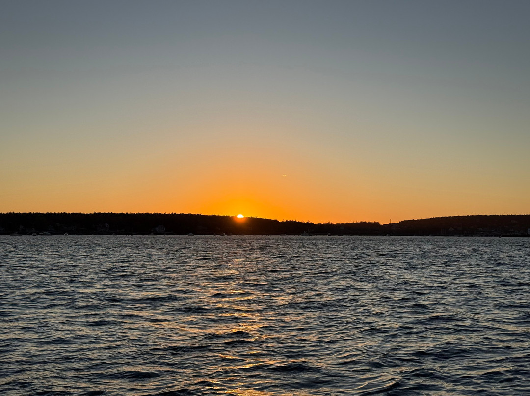 Sail Acadia-Southwest Harbor必去景点