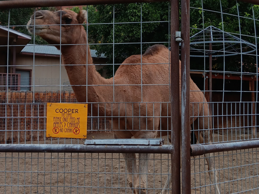 Hole N" The Rock-莫阿布必去景点