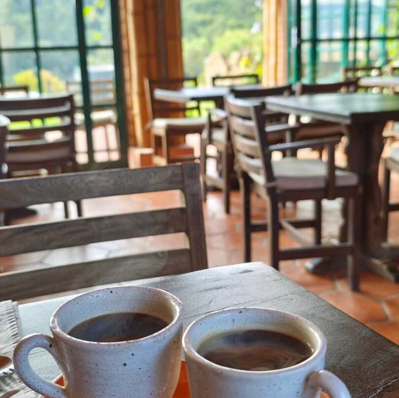 Hotel Casa Selvaggio