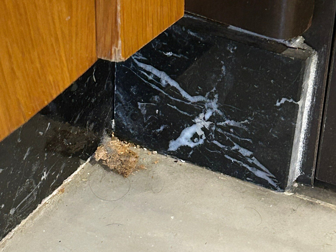 恩尔茨马塔洛市酒店主图