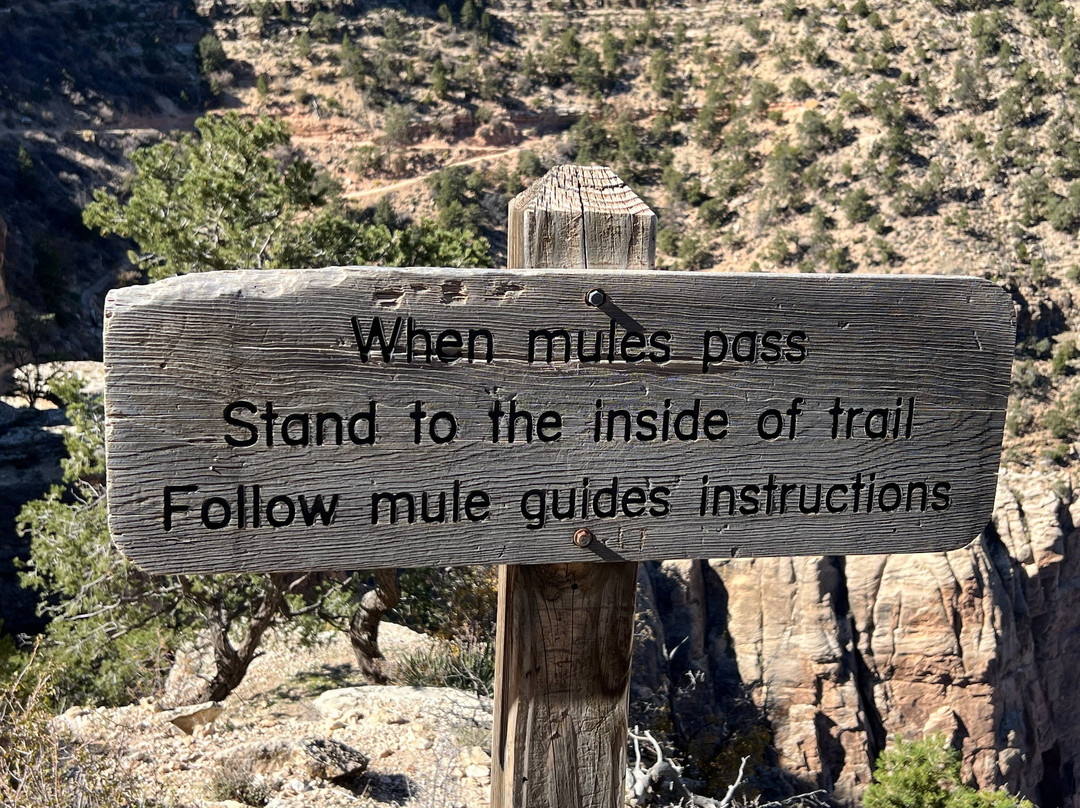 Detours American West-凤凰城必去景点