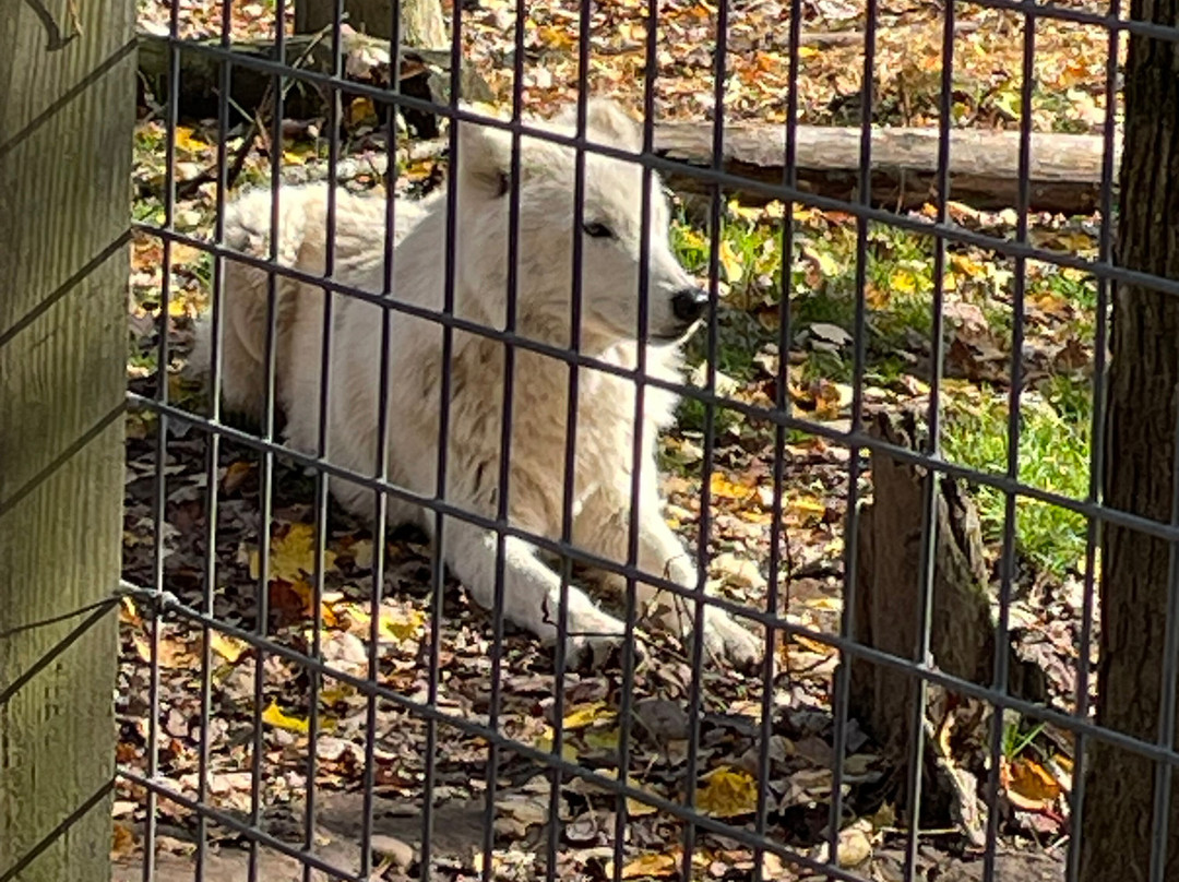 Fort Rickey Discovery Zoo-Rome必去景点