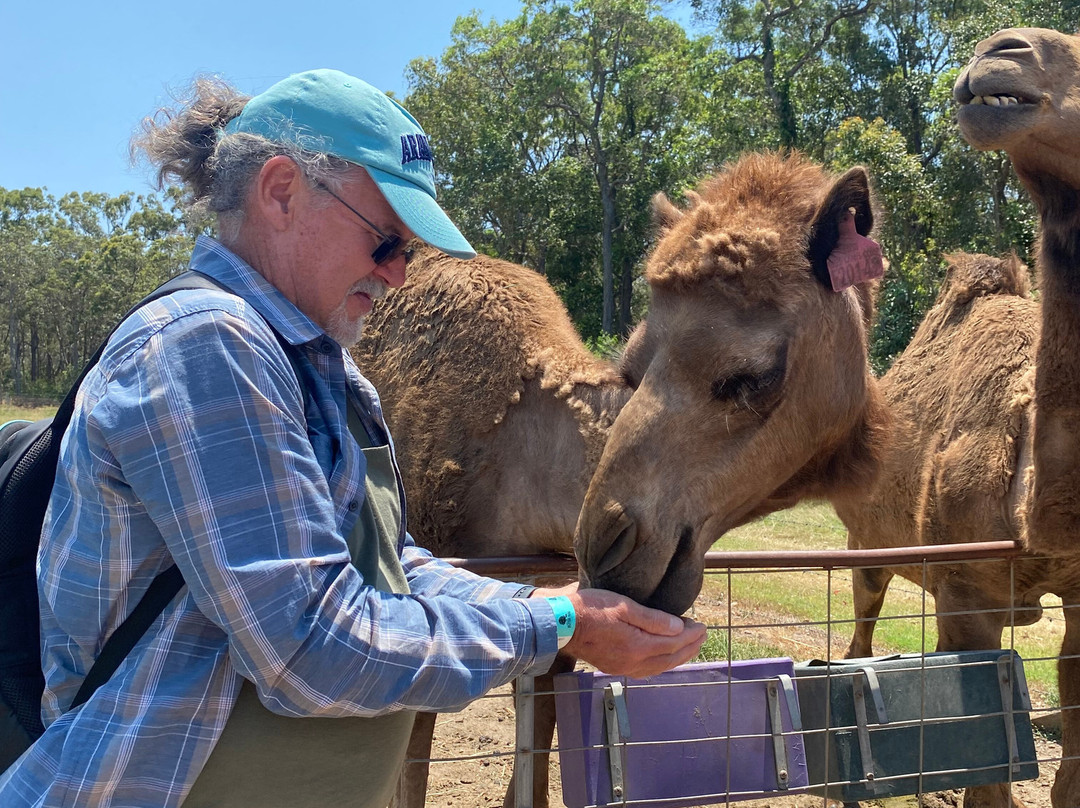 Splitters Farm-邦德堡必去景点