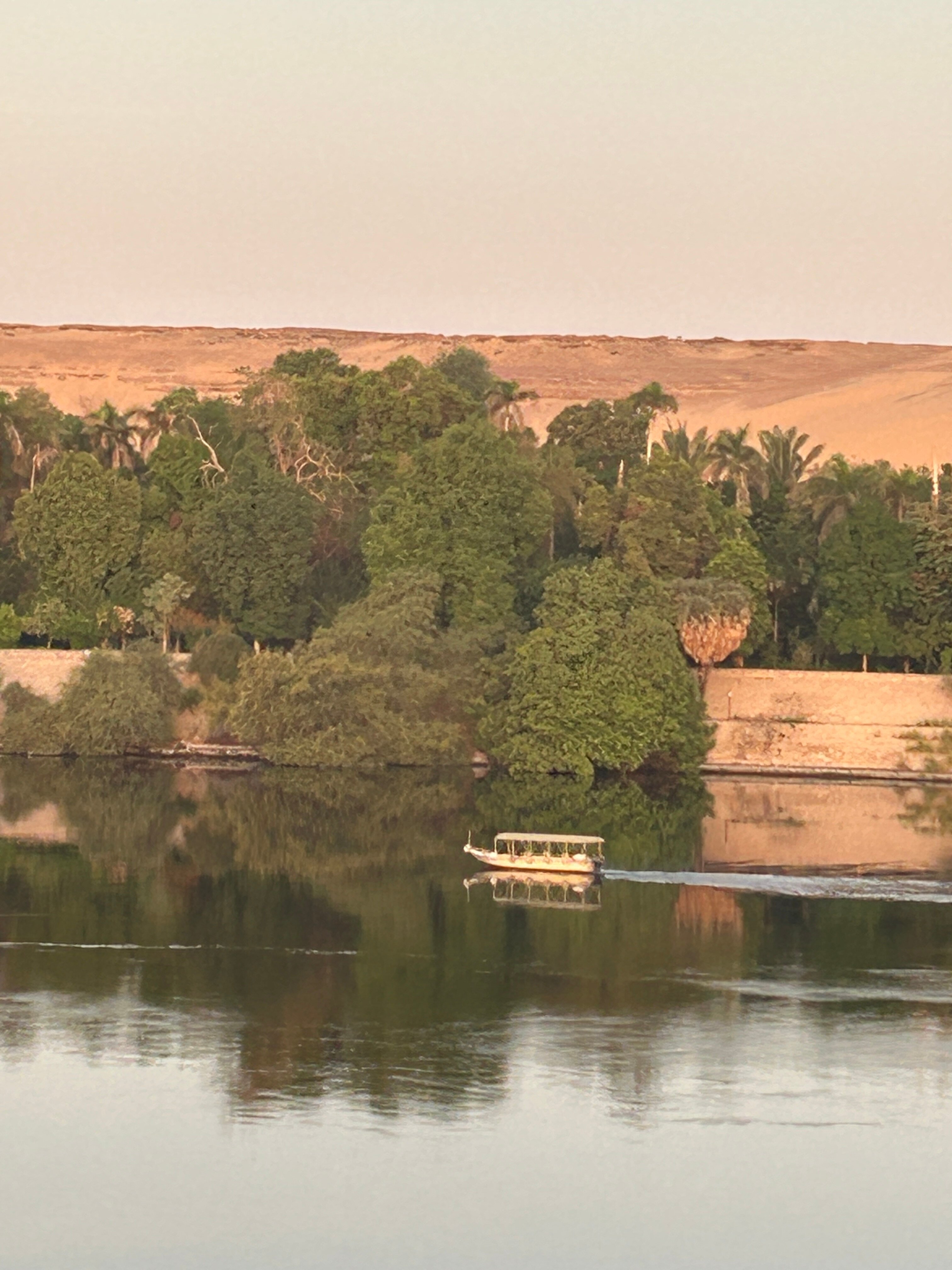 阿斯旺莫威皮克度假村-酒店景观