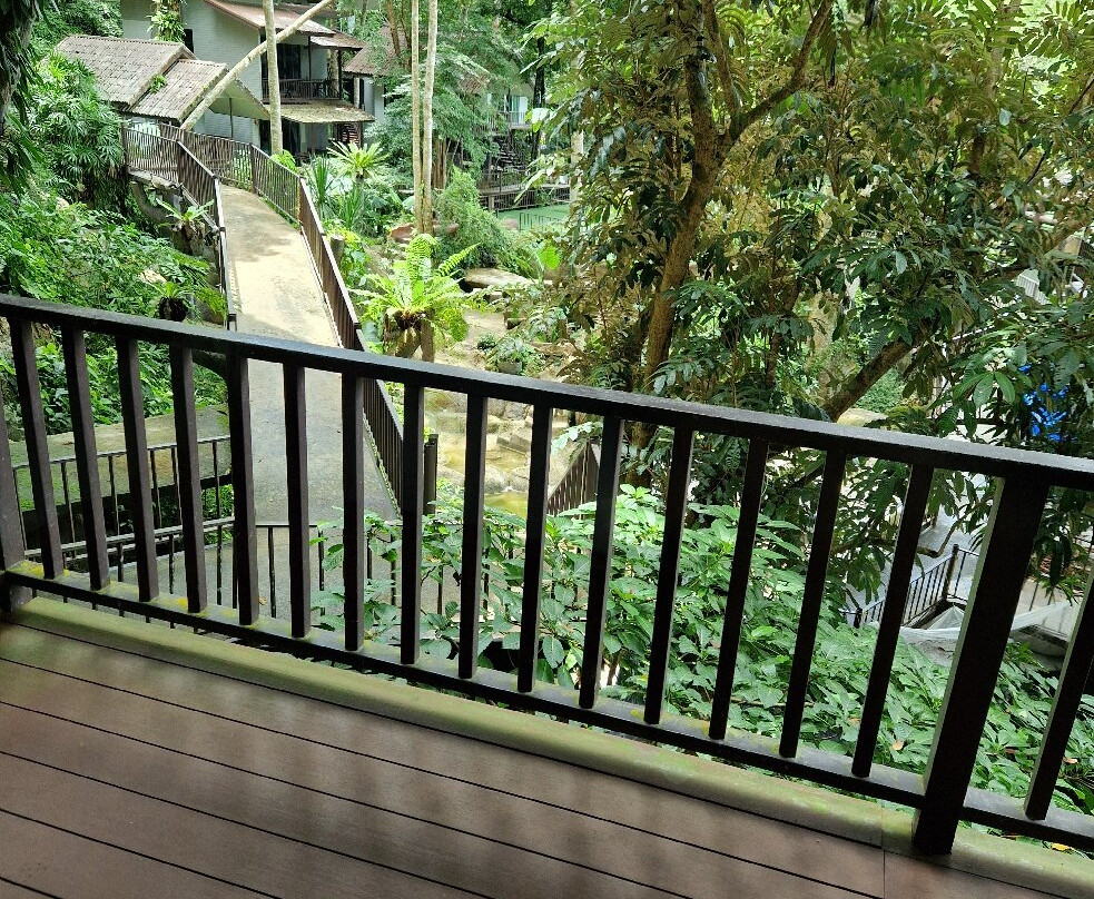 岩石树屋度假酒店主图