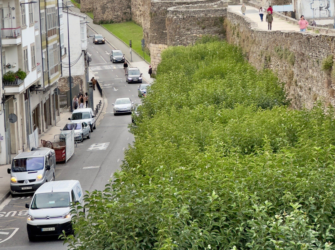 卢戈城墙-卢戈省必去景点