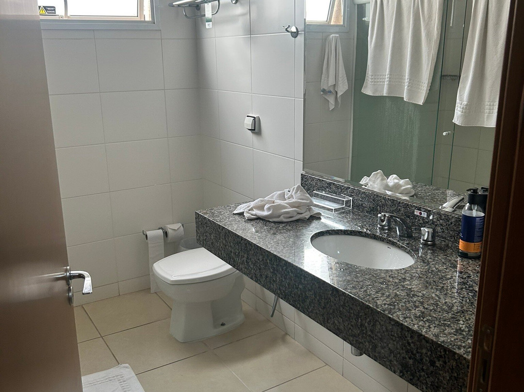 Comfort Hotel Bauru主图