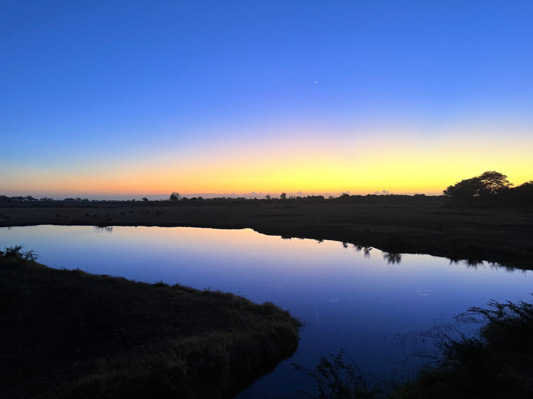 Kenya Safaris con Beka Day Tours-瓦塔木必去景点