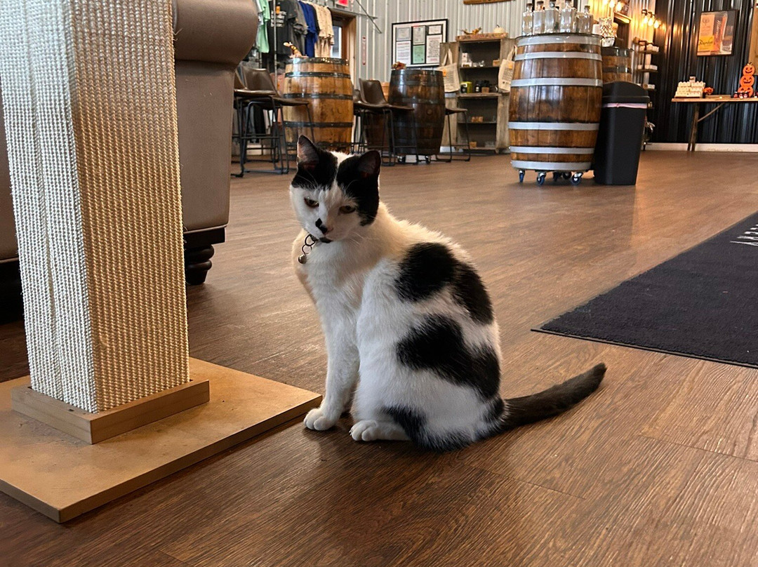 Wilderness Trail Distillery-Danville必去景点