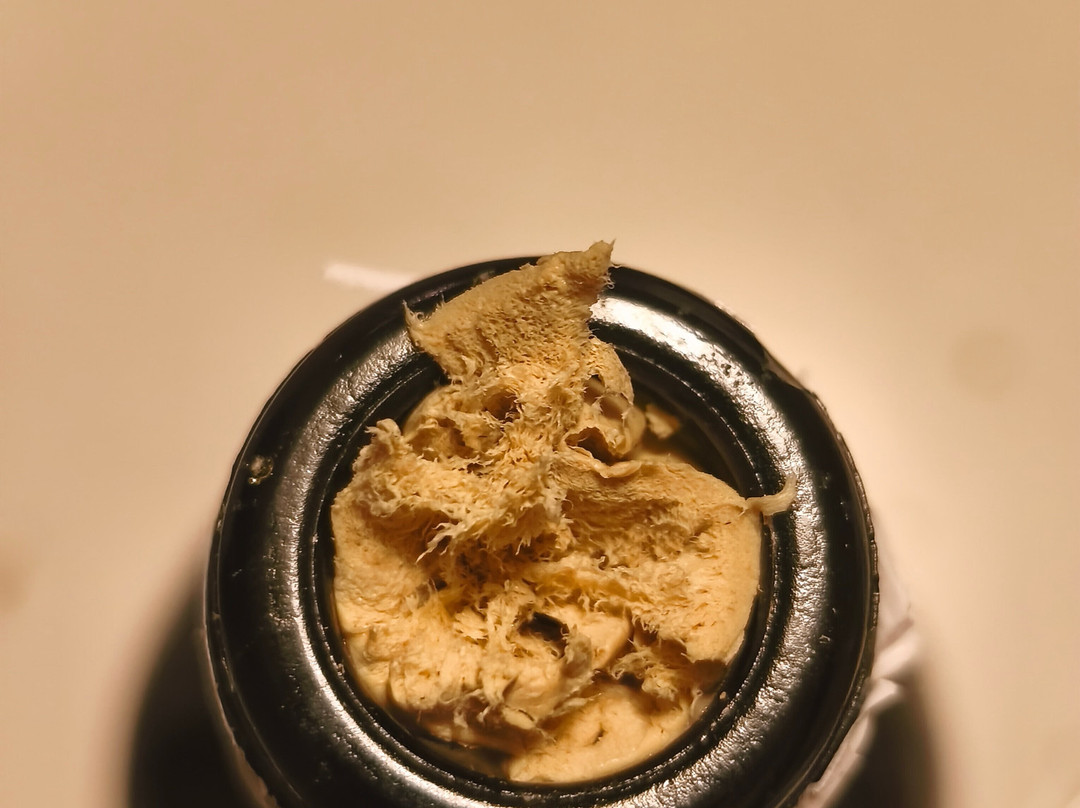 Winery Patria-Solicchiata必去景点