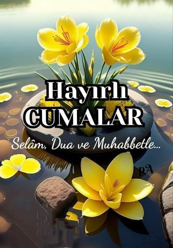 Alusso Thermal Hotel Spa & Convention Center主图