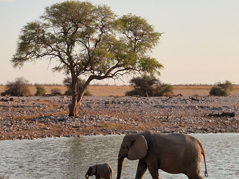 Chameleon Holidays and Travel-温德和克必去景点