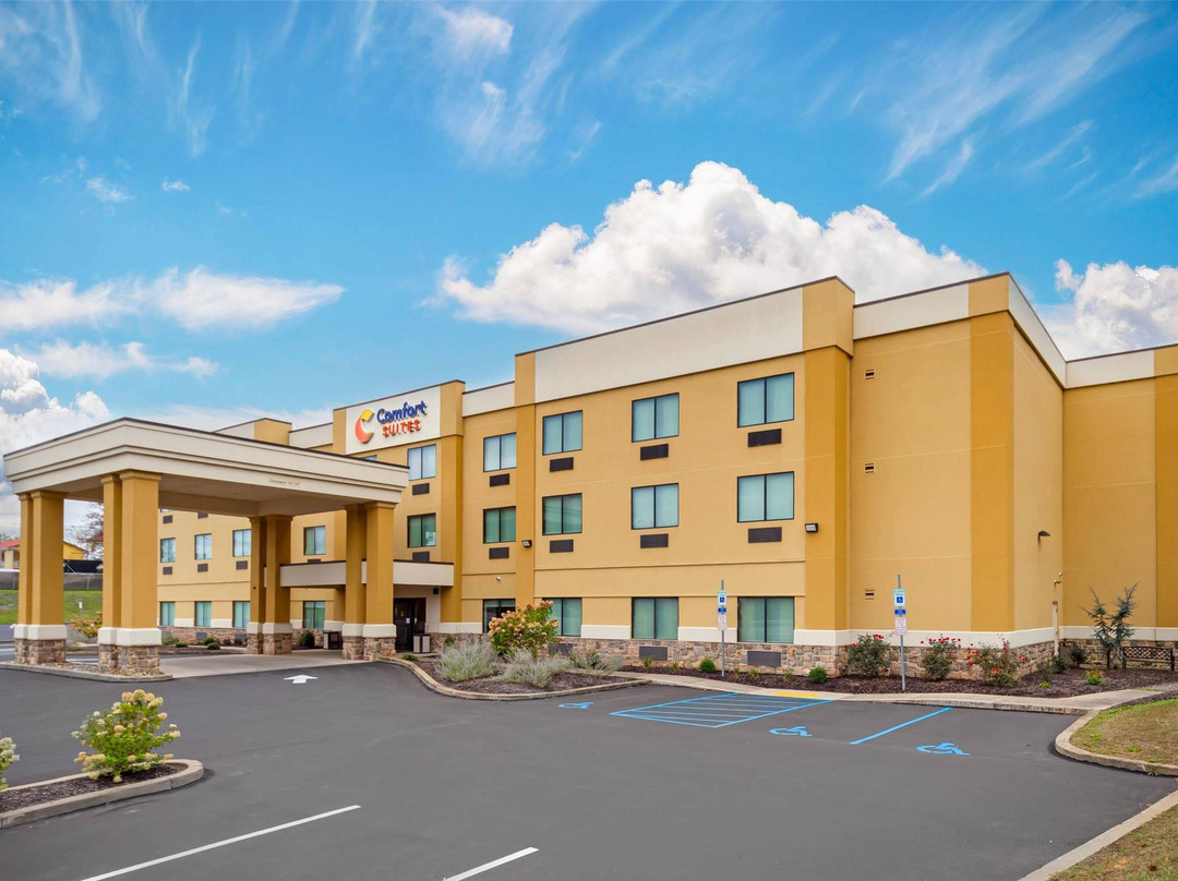 Shamokin Dam酒店住宿-Comfort Suites Lewisburg