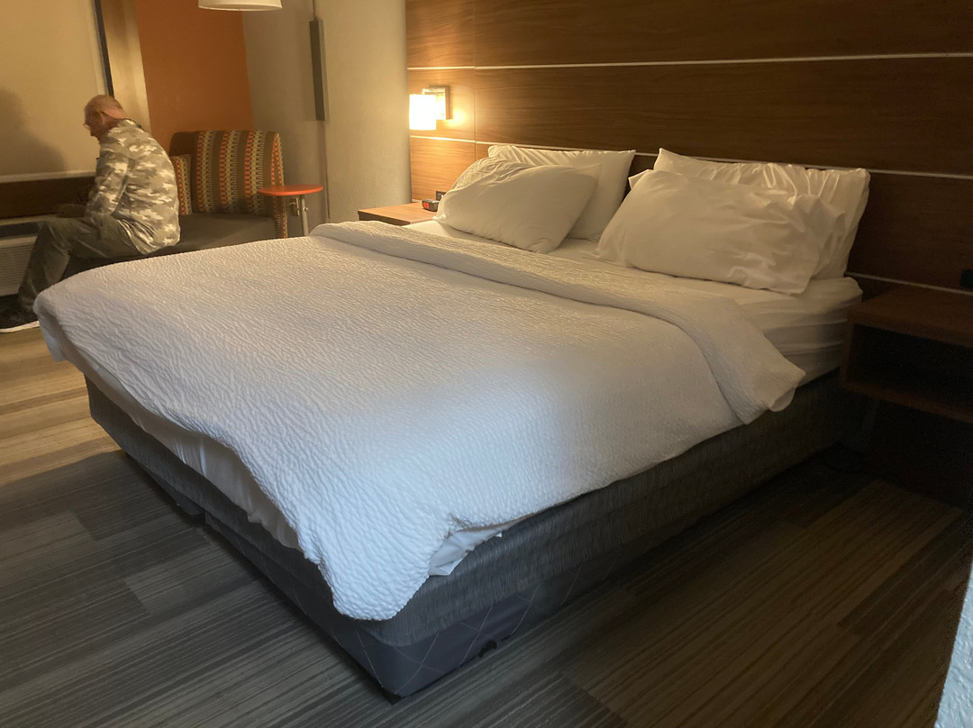 Holiday Inn Express & Suites Rochester By IHG主图