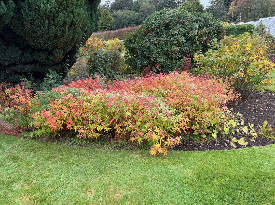 Kailzie Estate-皮布尔斯必去景点