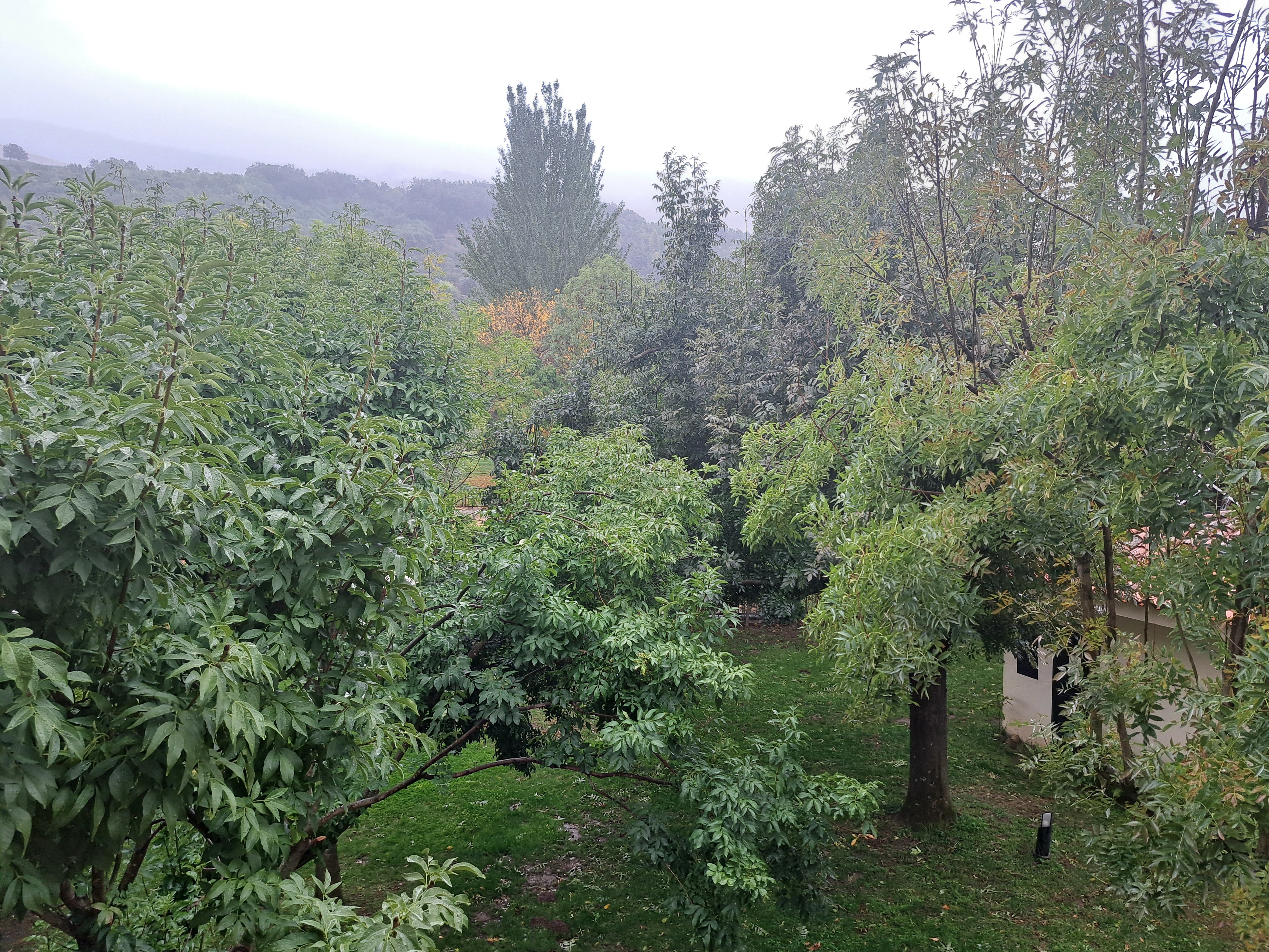 Hospederia Valle del Ambroz-官方