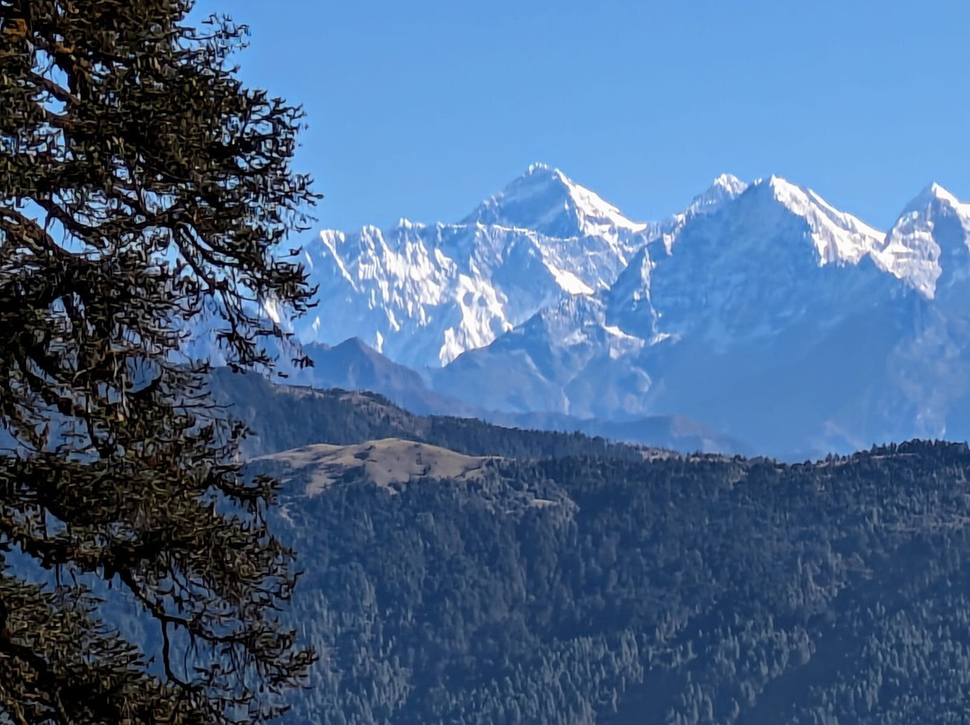 Berg Reisen Nepal P. Ltd.-Budhanilkantha必去景点