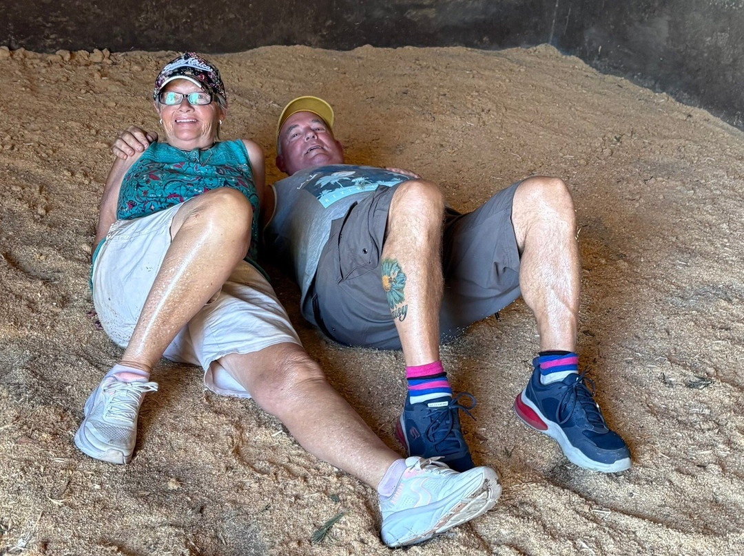 Elephant Sanctuary The Crags-The Crags必去景点