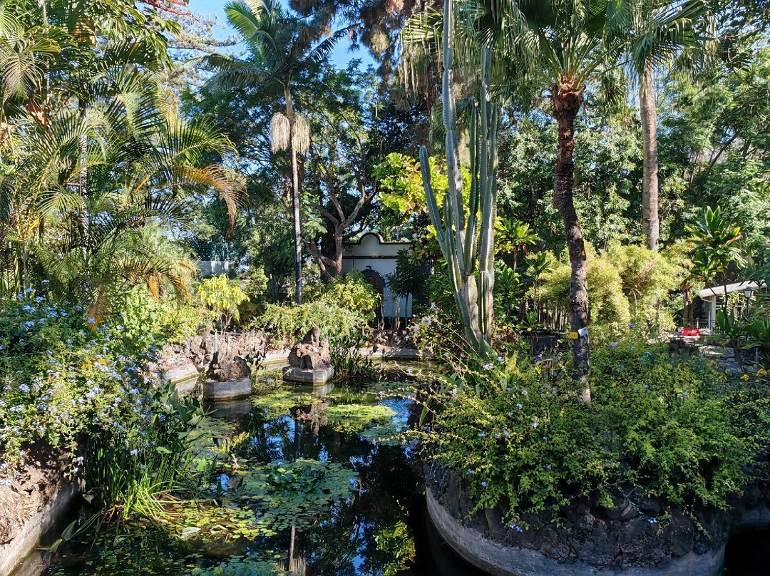 Jardines de la Marquesa-Arucas必去景点