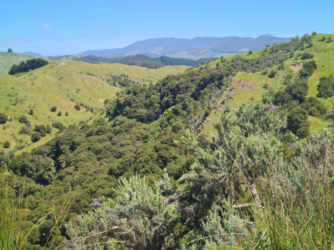 Tora Coastal Walk-马丁堡必去景点