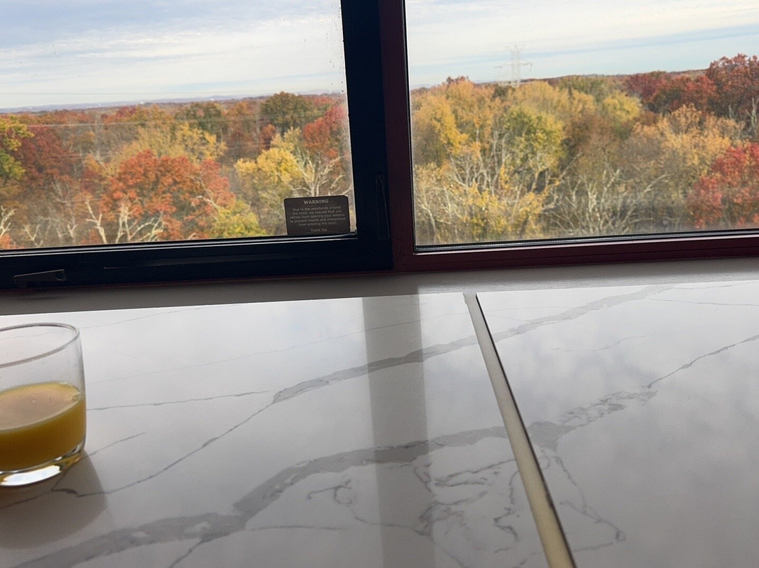 肖特希尔斯希尔顿酒店主图