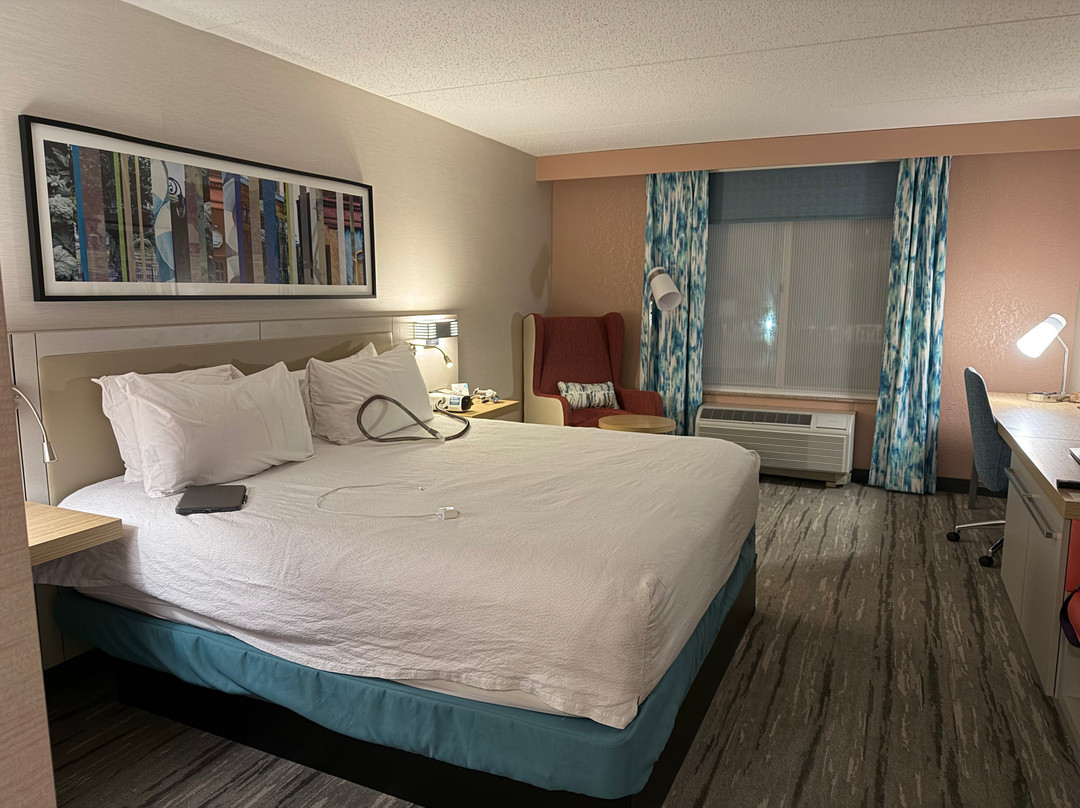 斯普林菲尔德希尔顿花园旅馆主图