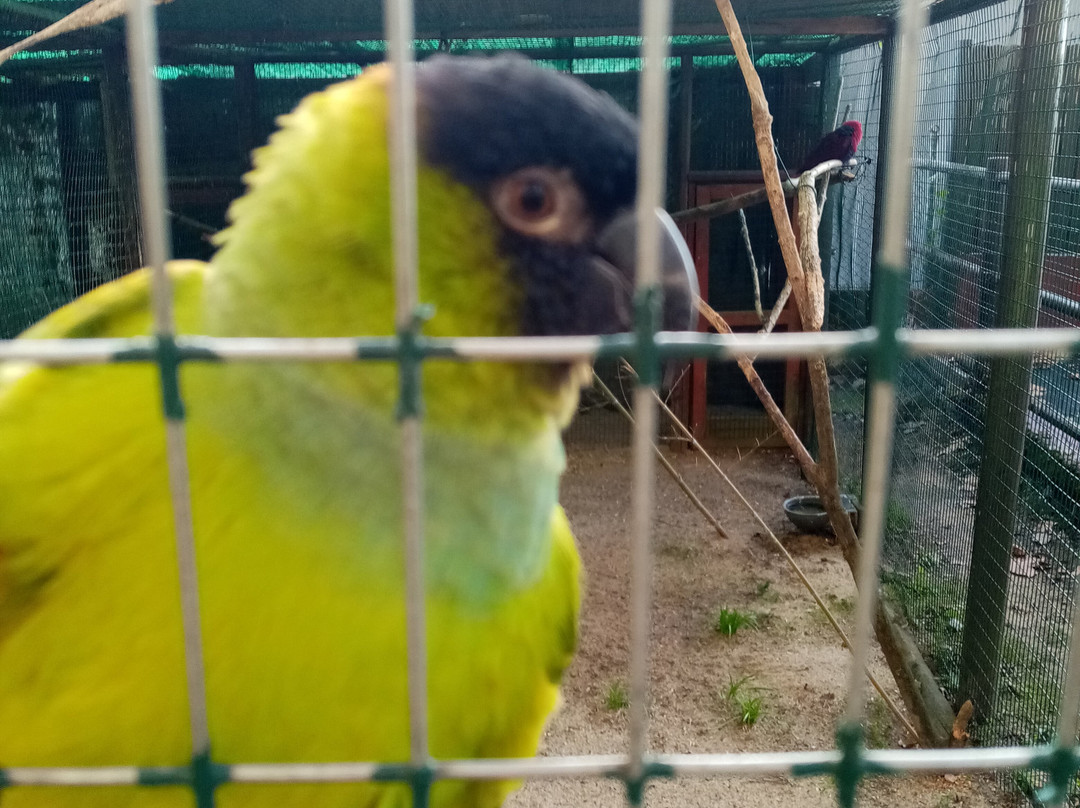 Zoo da Maia-Maia必去景点