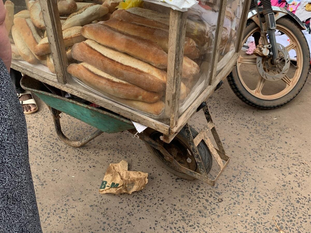 Gambia and Senegal tours with Ebrima-Tanji必去景点