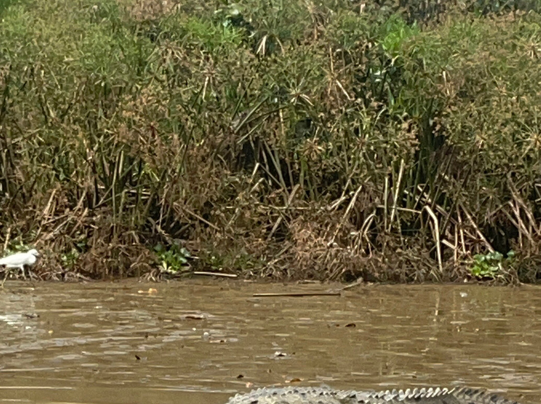 La Perla del Sur Adventures-Sierpe必去景点