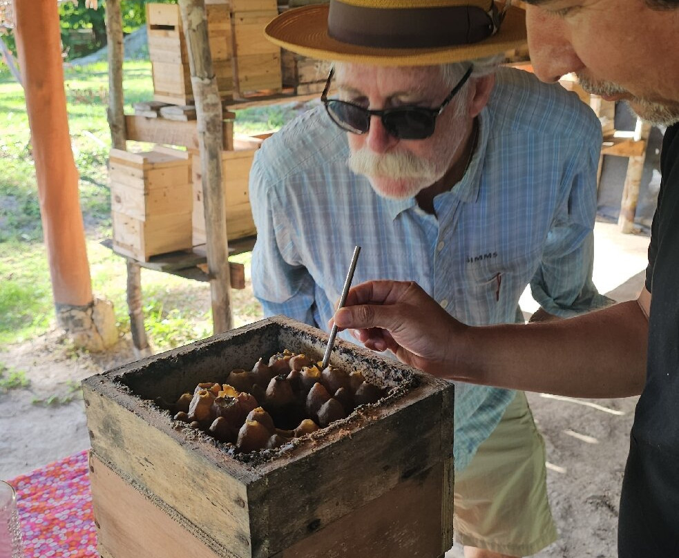 Cuba Travel Adventures Group-Tiburon必去景点