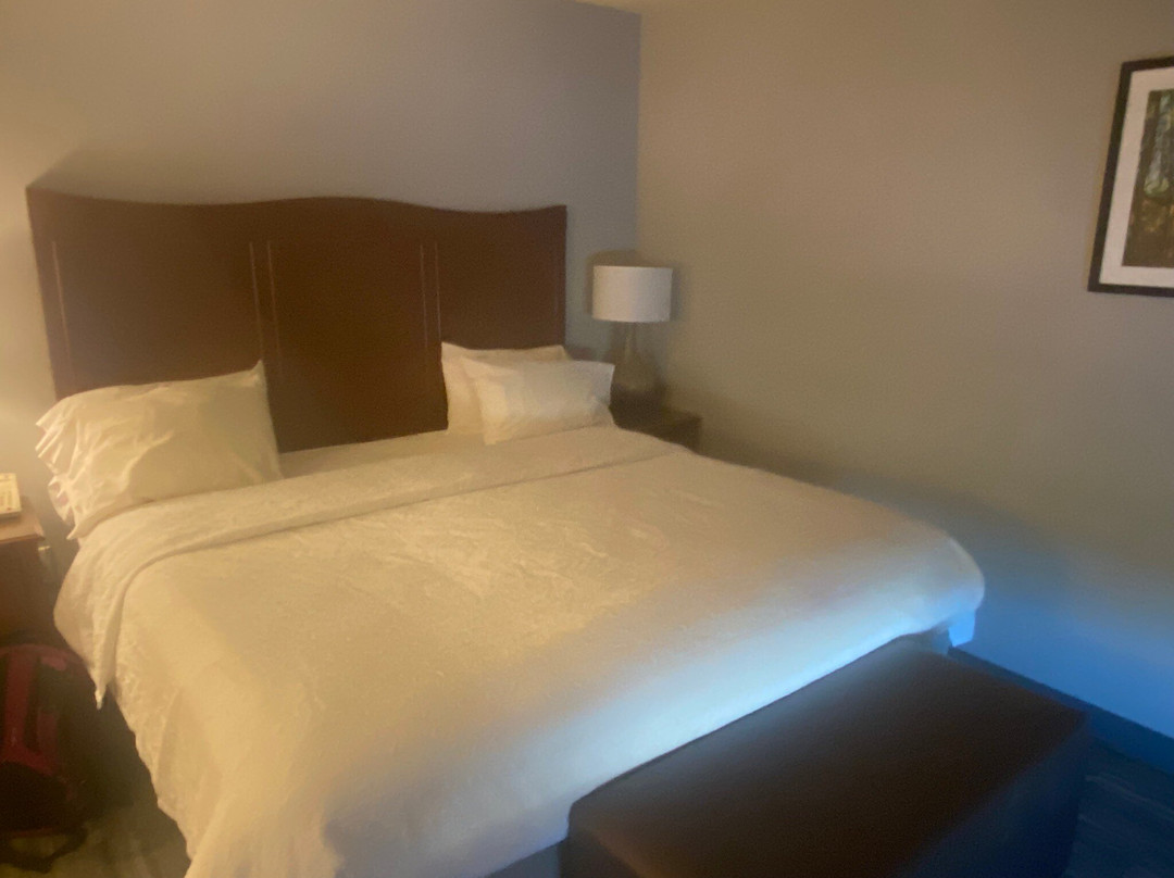 Hampton Inn & Suites Holly Springs主图