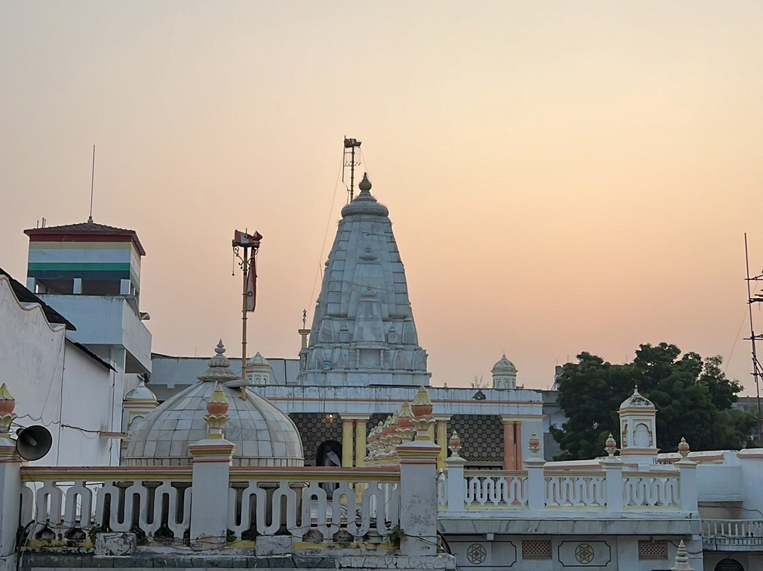 Vaasupujya Bhagwan Mahavir Jain Mandir-Bhagalpur必去景点