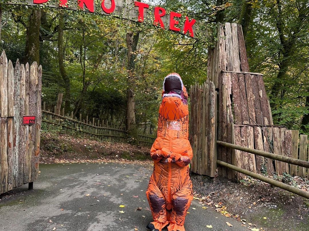 Woodlands Family Theme Park-达特茅斯必去景点