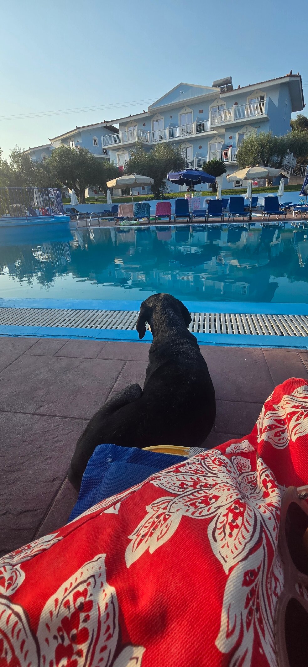 Filoxenia Hotel Apartments-官方