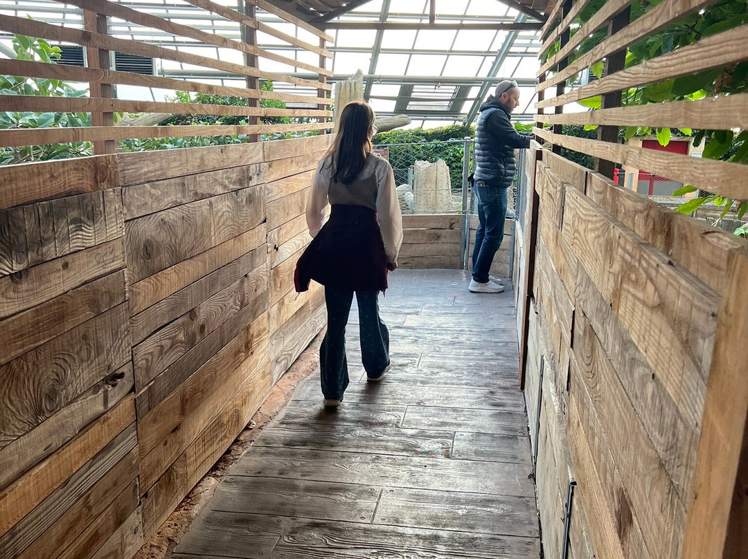 Terre de Dragons-Civaux必去景点