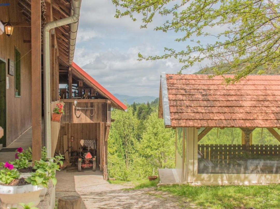 Planinarski Dom Skrad