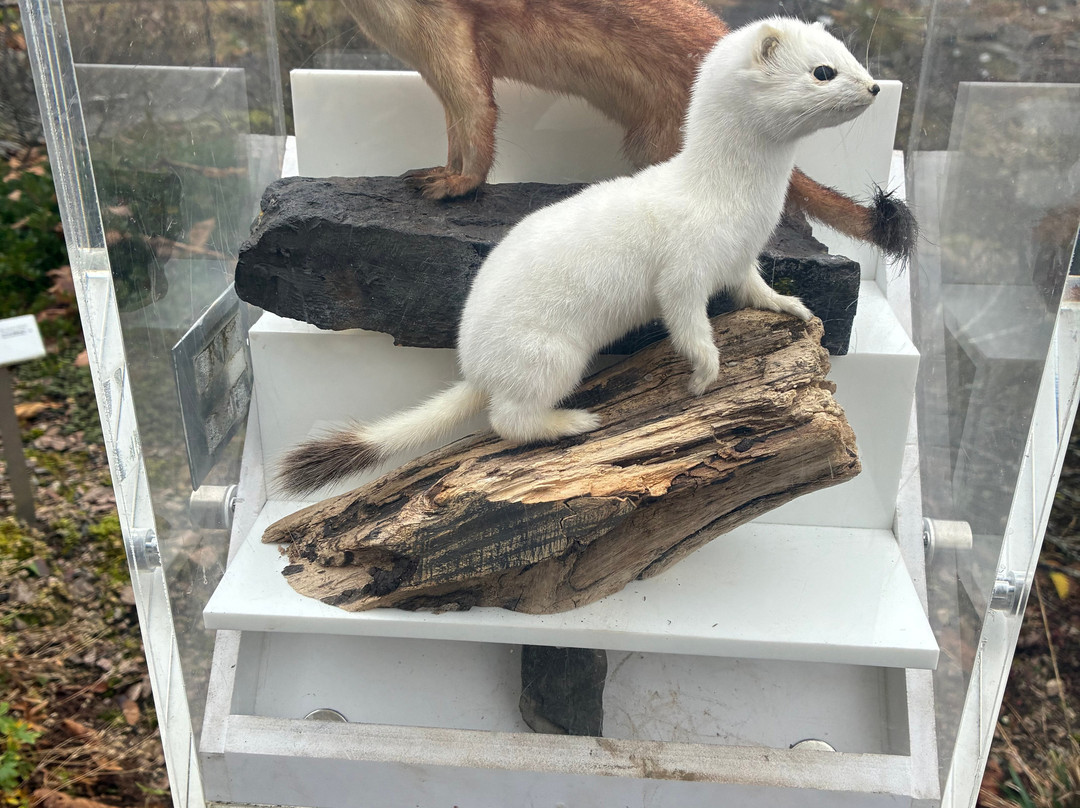 Botanical Garden-奥斯陆必去景点