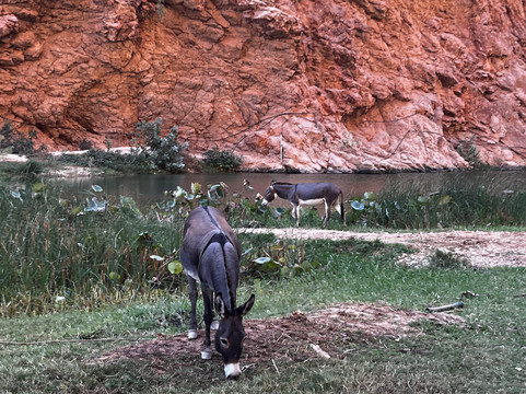 Arabian Desert Shadow-马斯喀特必去景点